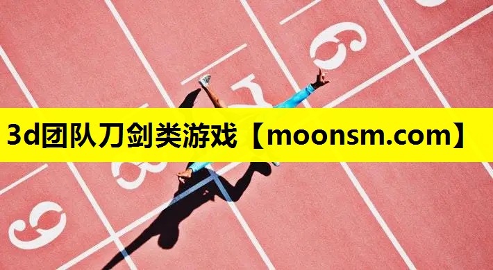 3d团队刀剑类游戏