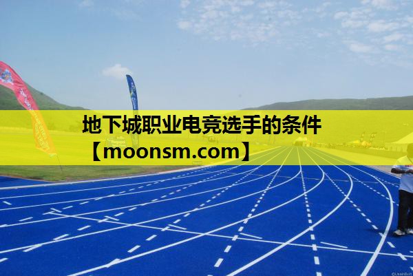 地下城职业电竞选手的条件